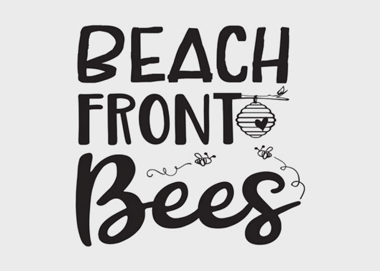 beach_front_bees_03.jpg